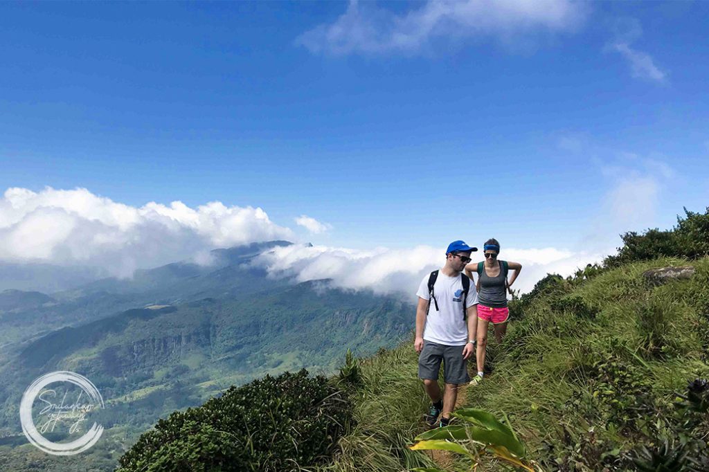 Elephant orphanage pinnawala 5