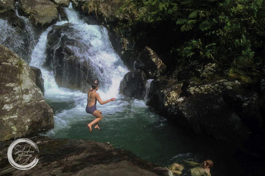 Elephant orphanage pinnawala 6