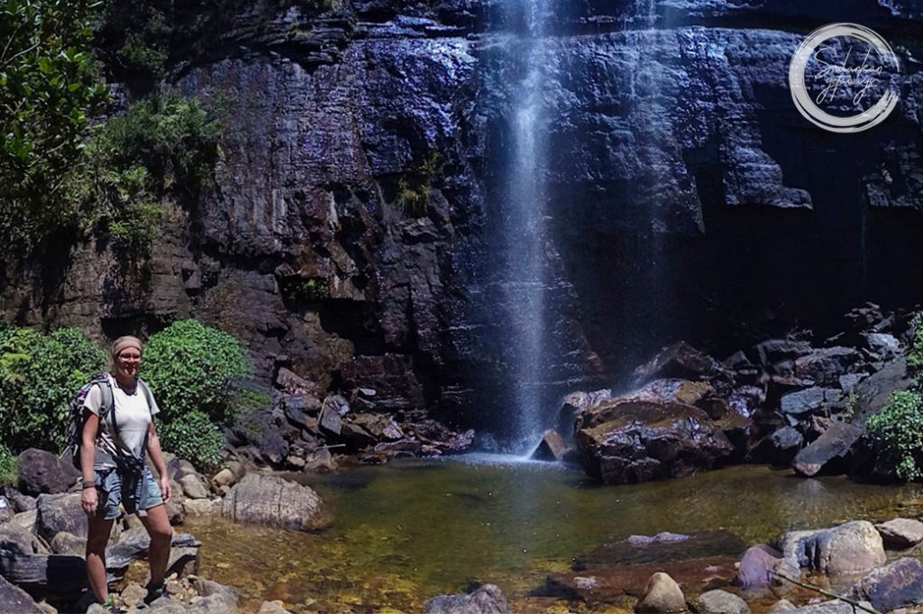 Elephant orphanage pinnawala 9